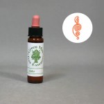 4flg-tree-001